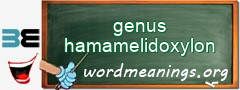 WordMeaning blackboard for genus hamamelidoxylon